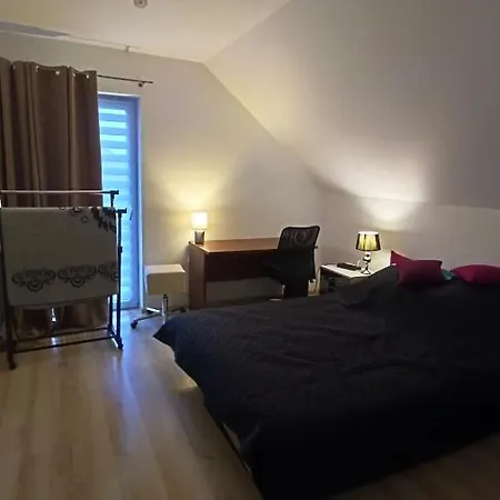 Komfortowe Szalsza